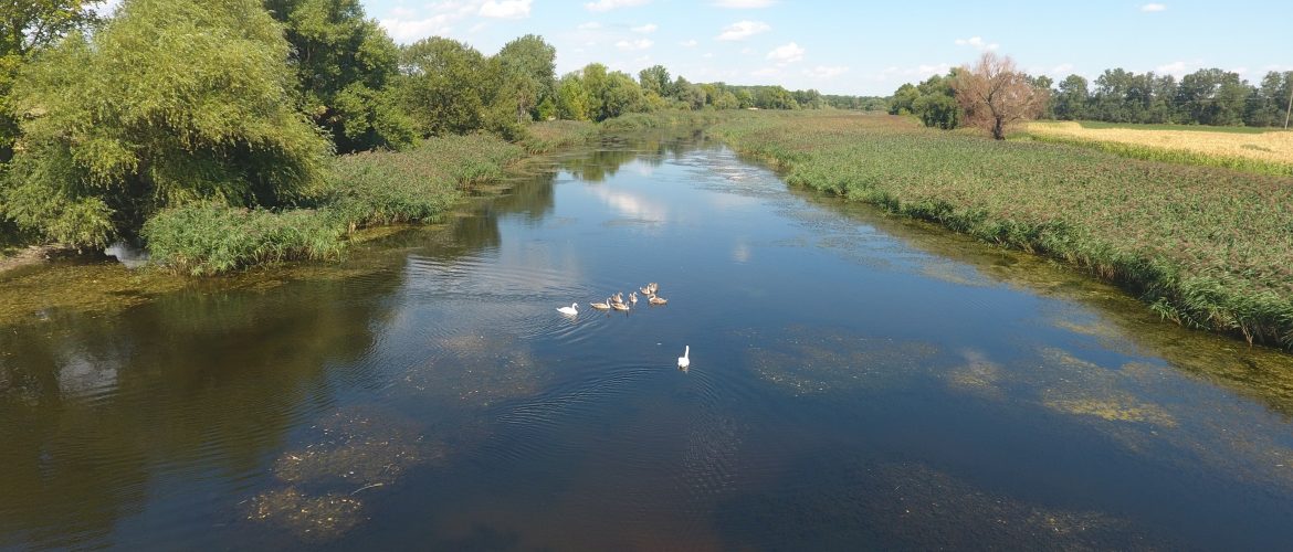 Международный день водных ресурсов